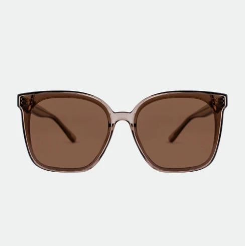 OTRA  EYEWEAR - BETTY TRANS OLIVE/BROWN