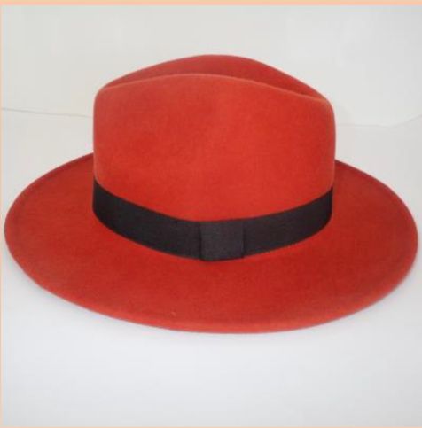 Album di Famiglia Cotton Velvet Wide Brim Hat in Red